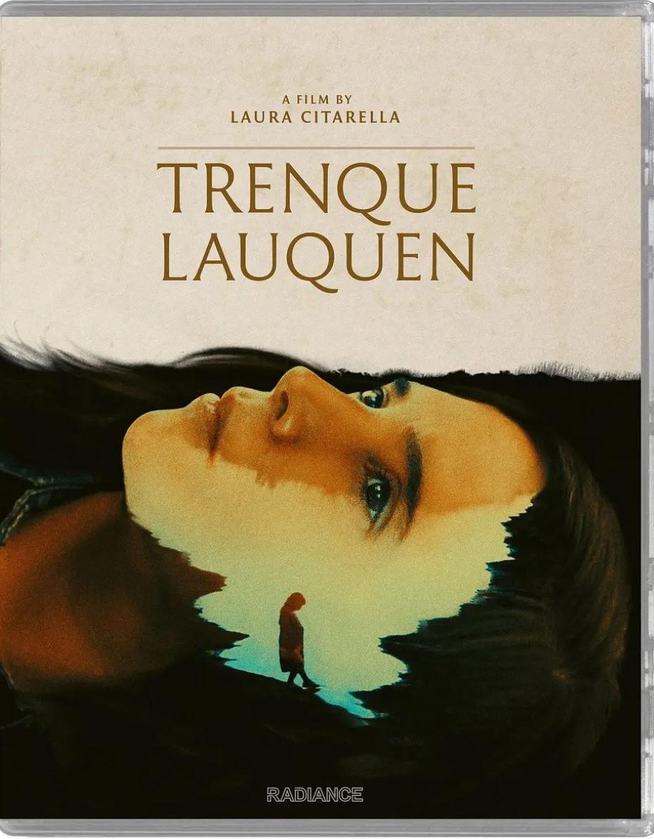 迷雾中的她(下)