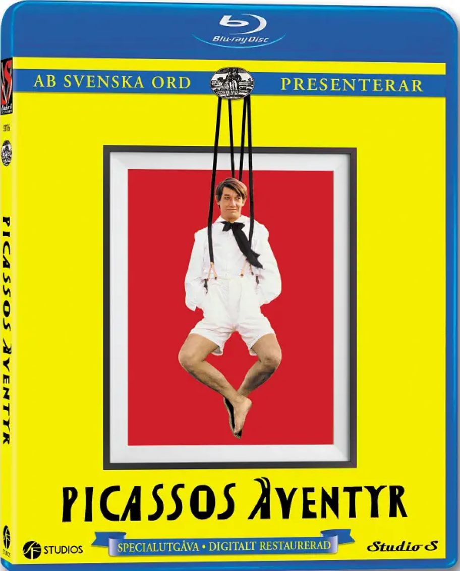 毕加索的奇异旅程