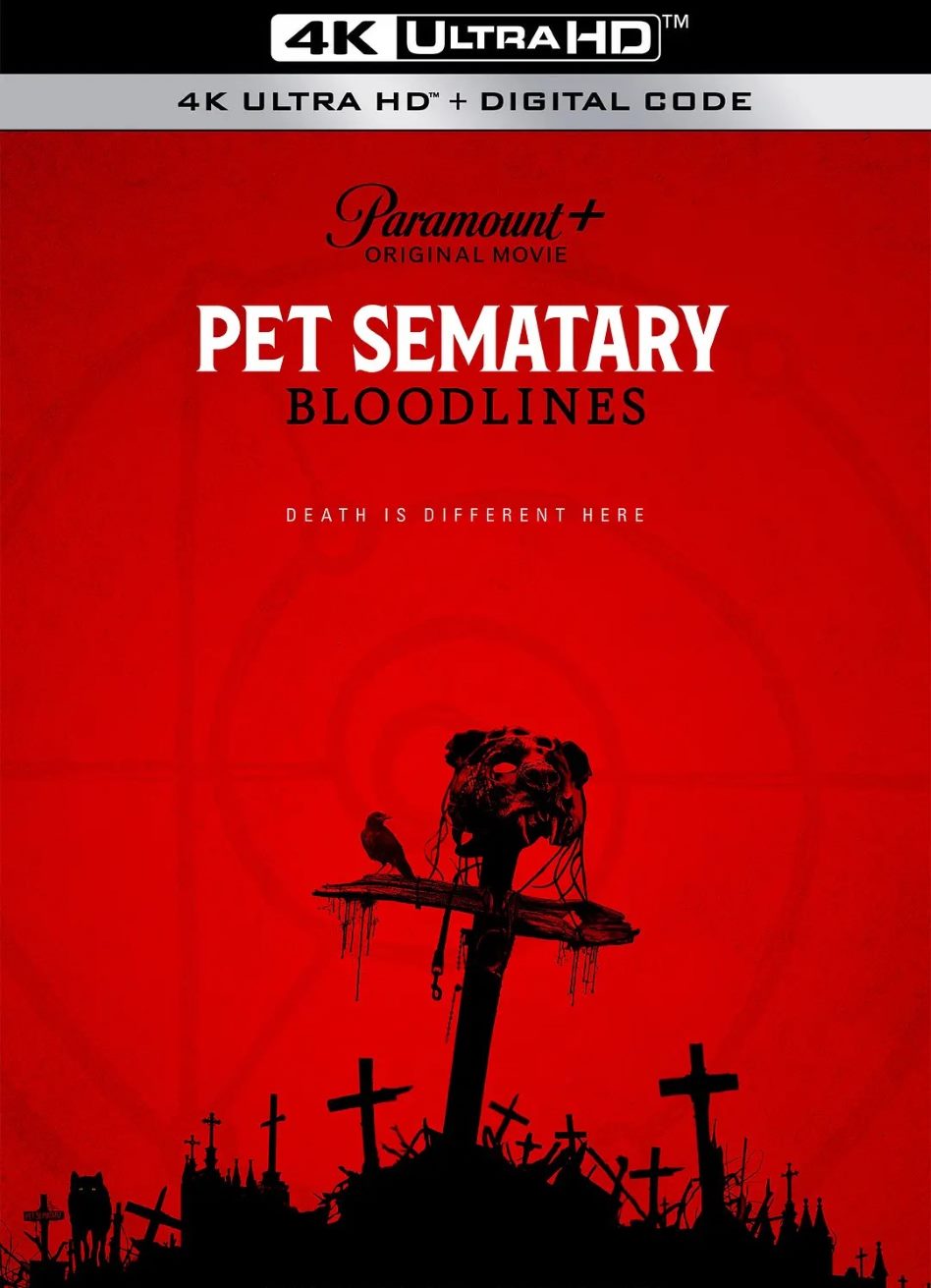 宠物坟场：血源