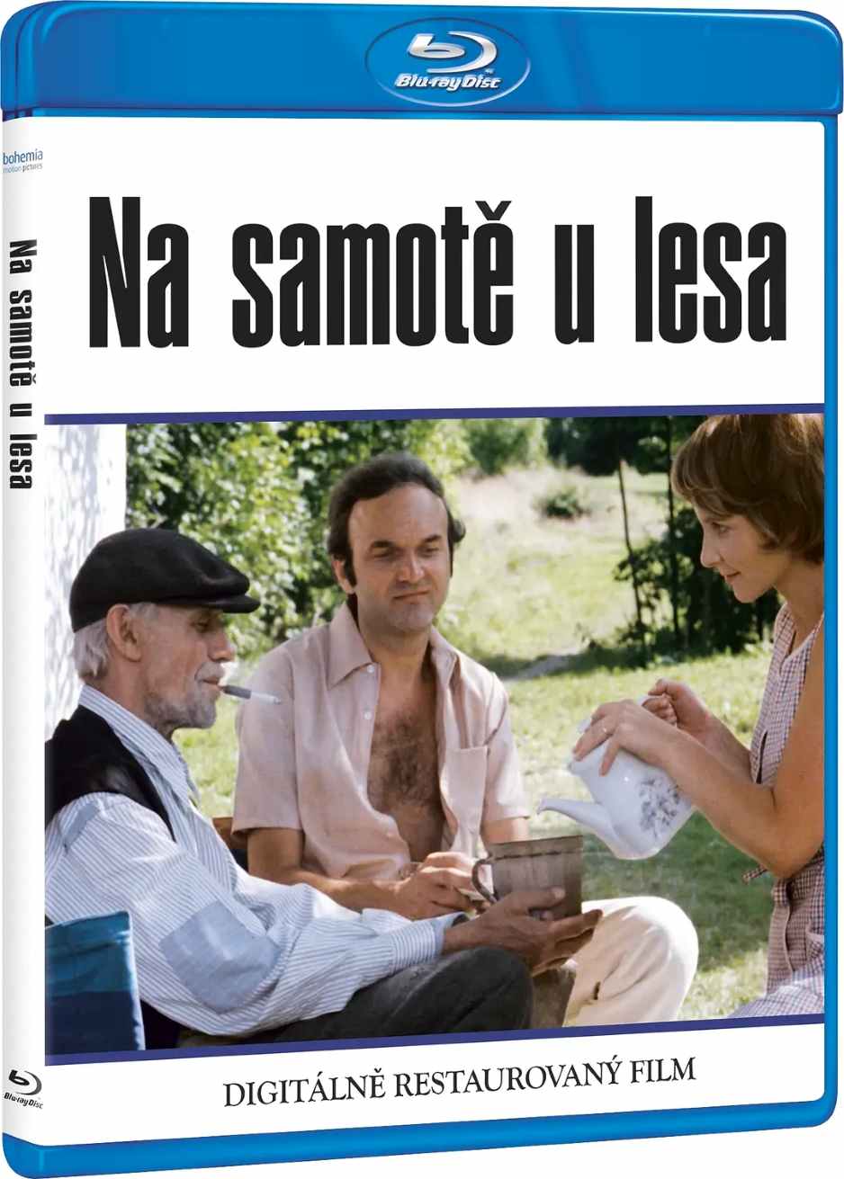 森林边缘的寂寞