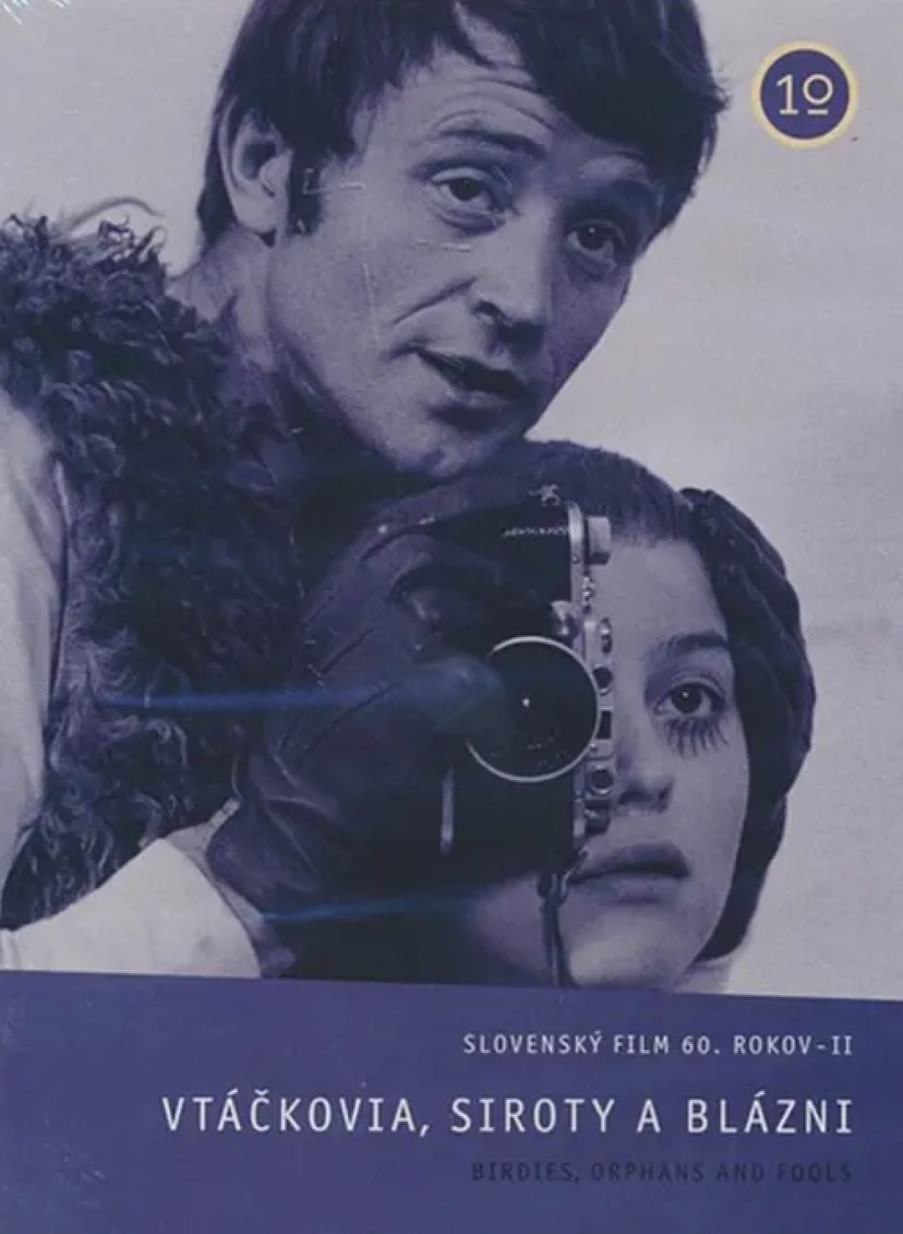 鸟，孤儿和愚人