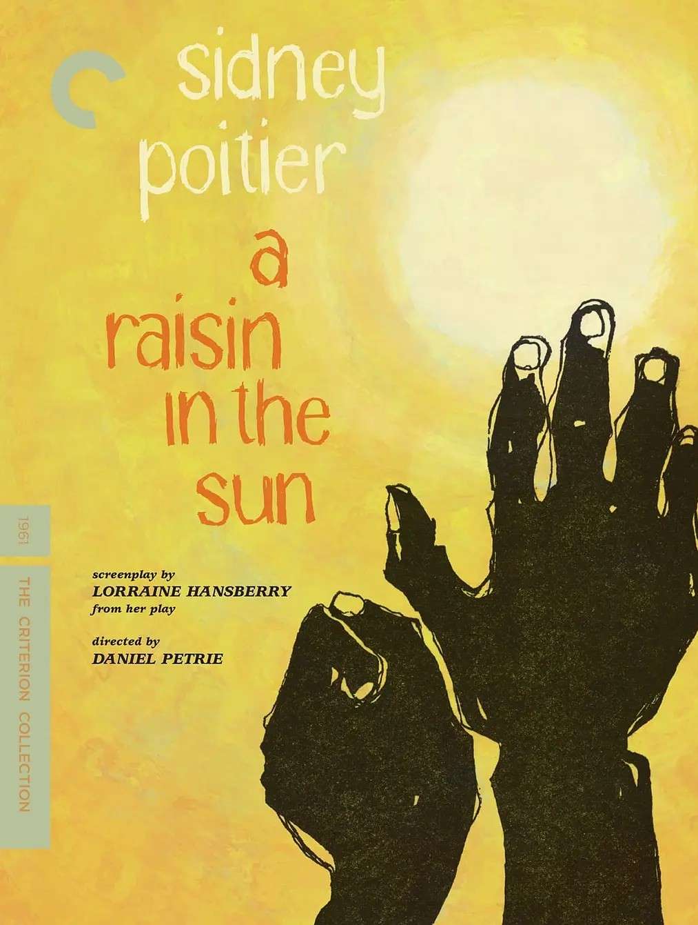 阳光下的葡萄干