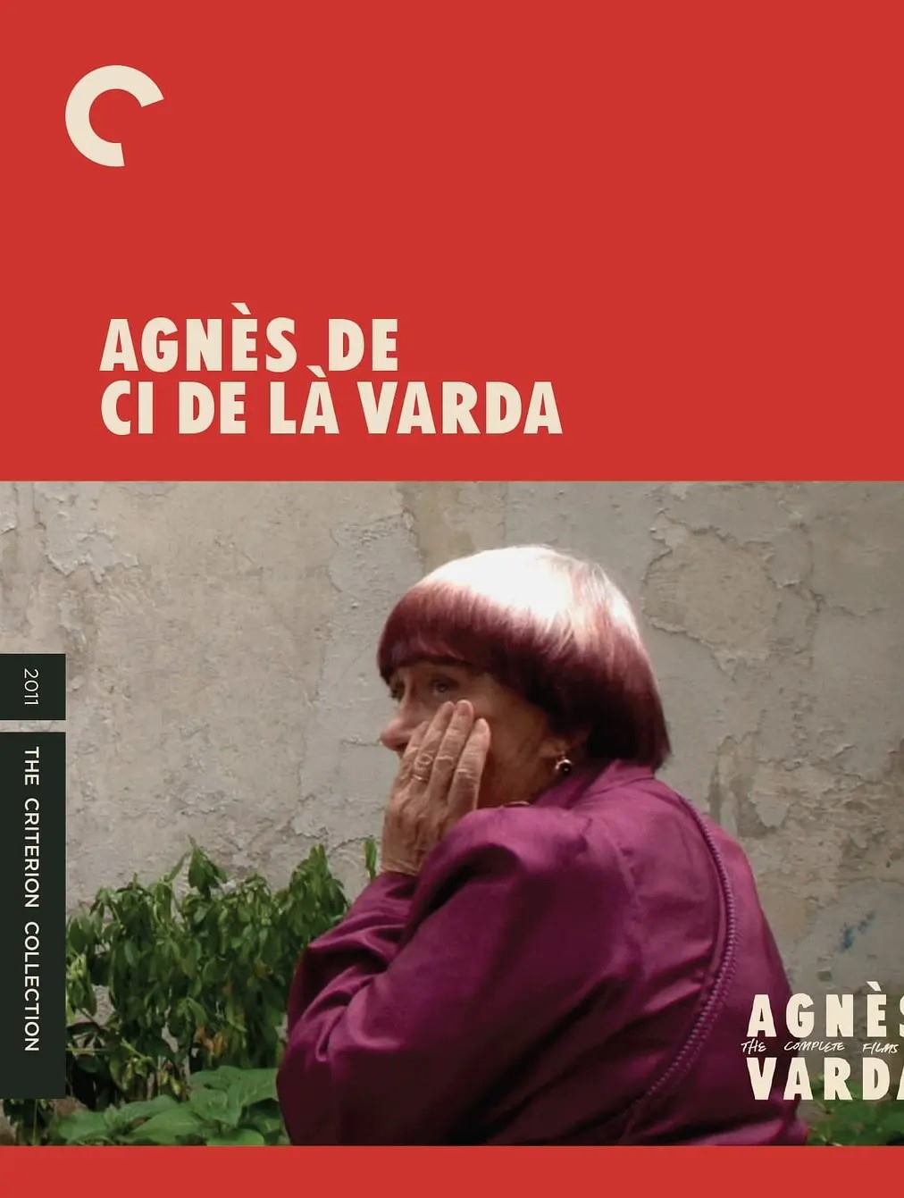 阿涅斯·瓦尔达在这里和那里