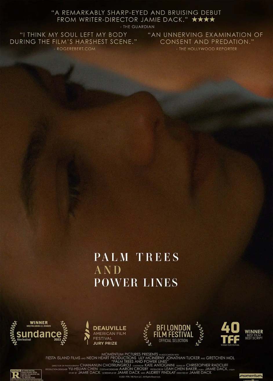 棕榈树与输电线