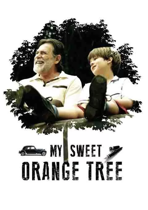 我亲爱的甜橙树
