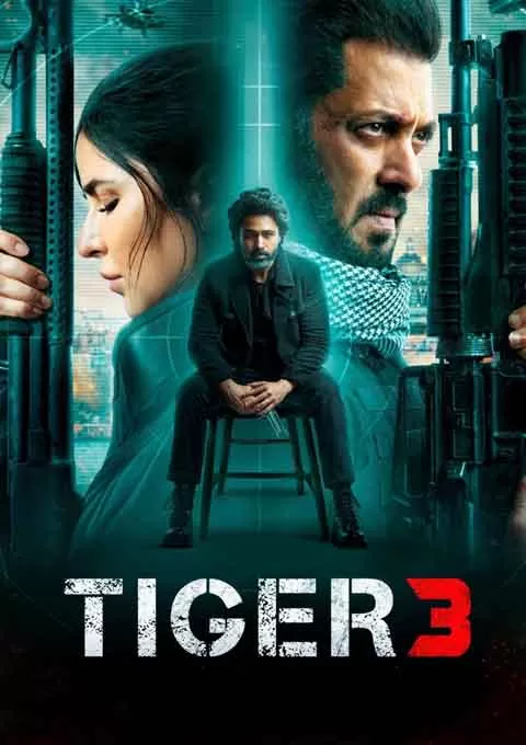 猛虎3