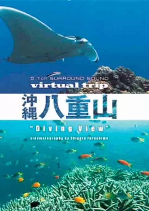 实境之旅：冲绳八重山