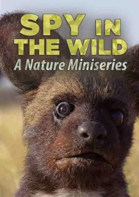 荒野间谍 第二季