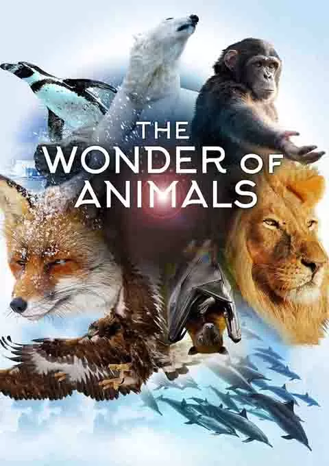 神奇动物大揭秘