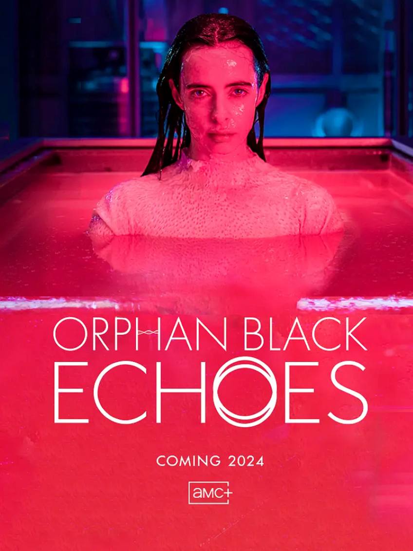 黑色孤儿：回响